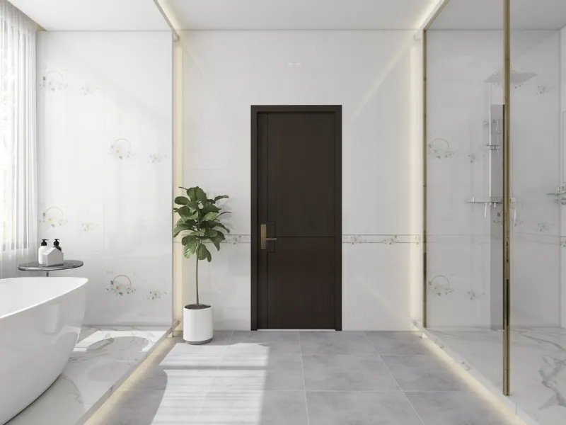Master bathroom — walk-in shower — Interior visualization